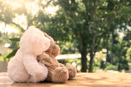 Couple teddy bears in love's embrace sitting on wooden table in the garden with sunlight,vintage color filterの写真素材
