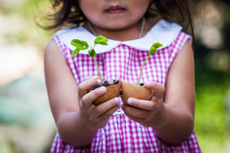 Child  hand holding young tree in egg shell for prepare plant on ground,save world conceptの写真素材