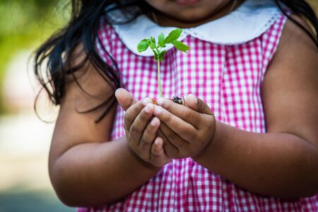 Child  hand holding young tree in egg shell for prepare plant on ground,save world conceptの写真素材