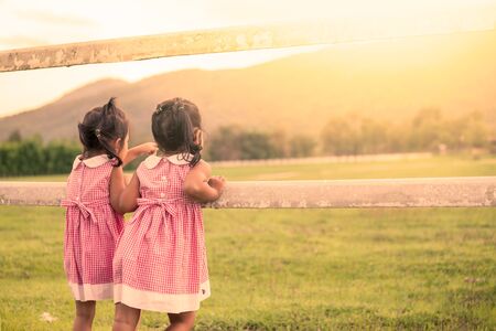 Child two little girls having fun to look animal in the farm in vintage color toneの写真素材
