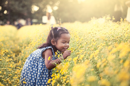 Child asian little girl smelling flower in the garden,having fun with yellow flower field in vintage color toneの写真素材