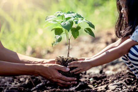 Asian little girl helping his father to plant the tree in the garden as save world conceptの写真素材