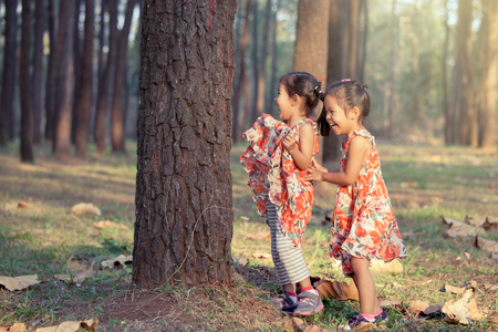 Two asian little girls having fun to play together in pine tree park in vintage color filterの写真素材