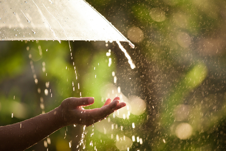 Woman hand with umbrella in the rain in green nature backgroundの写真素材