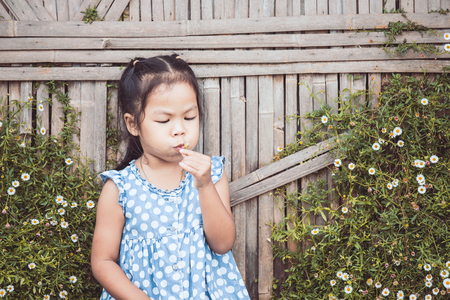 Cute asian child girl blowing little flower in the garden with fun in vintage color toneの写真素材