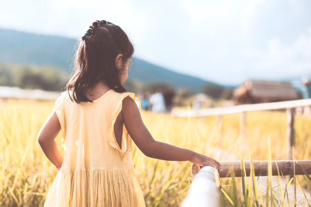 Back view of little child girl walking in bamboo walkway at the cornfield in vintage color toneの写真素材