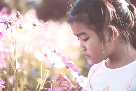 Cute asian little child girl smelling cosmos flower and having fun in the flower garden in vintage color toneの写真素材