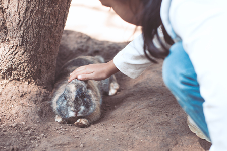 Cute asian little child girl touching and playing with real rabbit in the farm with  tendernessの写真素材