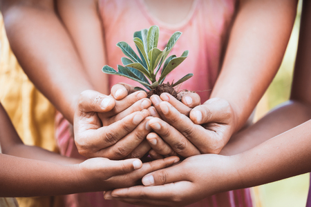 Children and parent holding young tree in hands for planting together with love and unity as save world conceptの写真素材
