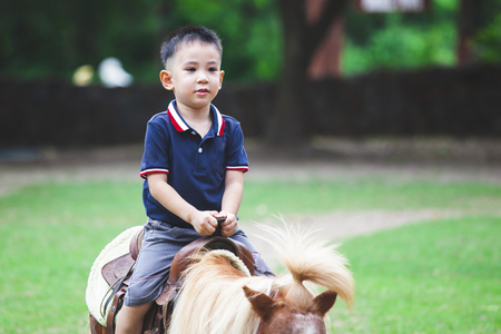 Cute asian child boy riding a pony in the farm with funの写真素材