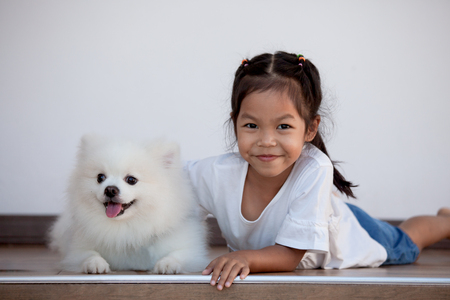 Cute asian child girl playing with her Spitz dog with fun and happinessの写真素材