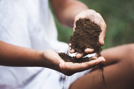 Child hand holding the soil prepare for plant the treeの写真素材