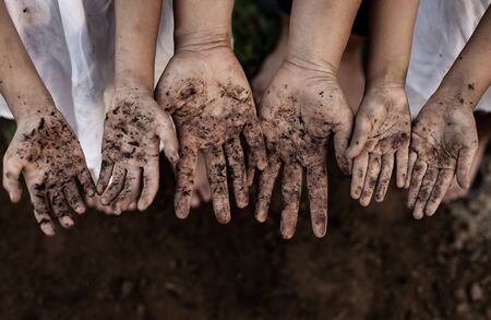 Family parent and children showing dirty hands after planting the tree together in the gardenの写真素材