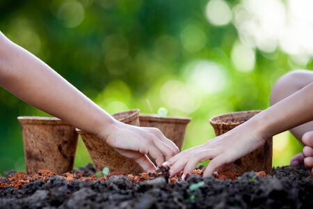 Two asian child girls planting young seedlings in recycle fiber pots together in the garden with funの写真素材