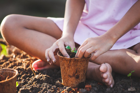 Child hand planting young seedlings in recycle fiber pots in the gardenの写真素材