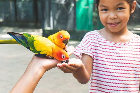Beautiful little parrot birds standing on child hand and eating sunflower seed on handの写真素材