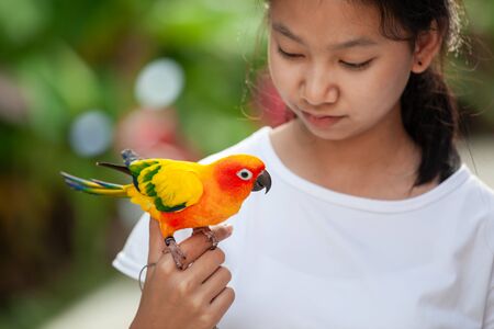 Beautiful little parrot birds standing on woman hand. Asian teenager girl play with her pet parrot bird with fun and loveの写真素材