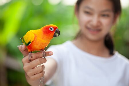 Beautiful little parrot birds standing on woman hand. Asian teenager girl play with her pet parrot bird with fun and loveの写真素材