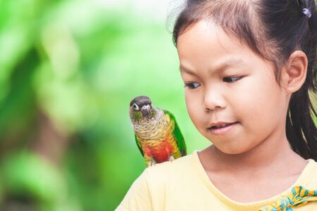 Beautiful little parrot birds standing on child shoulder. Asian child girl play with her pet parrot bird with funの写真素材