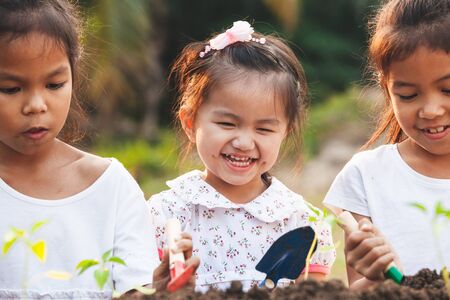 Cute asian children planting young tree in the black soil together in the garden with funの写真素材