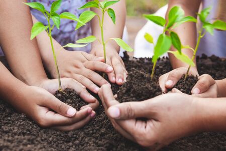 Children and parent holding young tree in hands for planting in black soil together as save world conceptの写真素材