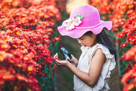 Cute asian child girl looking beautiful flower through a magnifying glass in the flower fieldの写真素材