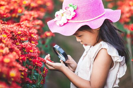 Cute asian child girl looking beautiful flower through a magnifying glass in the flower fieldの写真素材