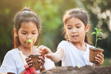 Two asian child girls holding young tree for planting in recycled fiber pots together in the garden with funの写真素材