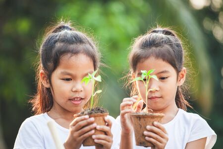 Two asian child girls holding young tree for planting in recycled fiber pots together in the garden with funの写真素材