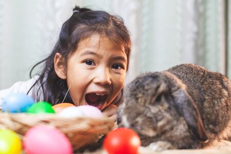 Cute asian child girl playing with cute Holland lop rabbit with love and tenderness at easter festiveの写真素材