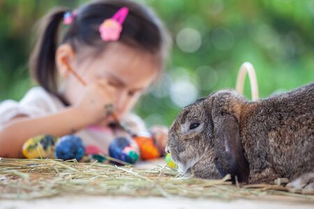 Cute Holland lop rabbit sitting on the table with asian child girl drawing and painting on easter eggs in background at easter festivalの写真素材