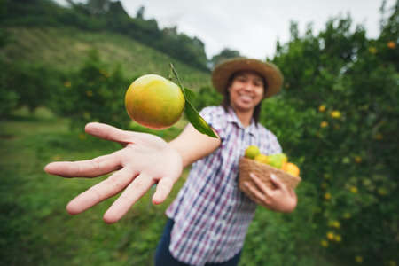 Asian woman gardener holding an orange in hand and throw up in the air with fun in the oranges field garden in the morning time.の写真素材