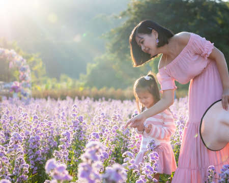 Cute asian child girl and her mother enjoying with beautiful flower together and little girl holding magnifier looking on flower with fun and curiously in the flower garden.の写真素材