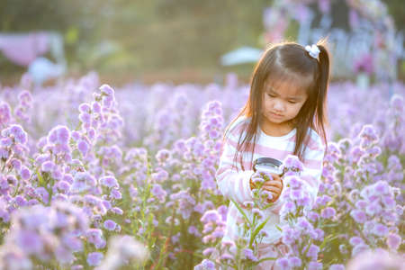 Cute asian little child girl holding magnifier looking on flower with curiously and enjoying with beautiful flower in the flower garden.の写真素材