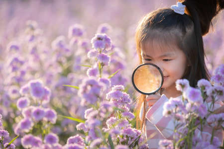 Cute asian little child girl holding magnifier looking on flower with curiously and enjoying with beautiful flower in the flower garden.の写真素材