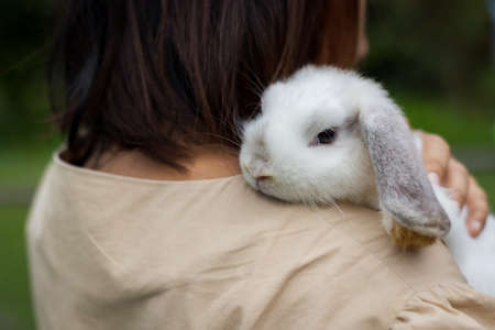 Asian woman holding and carrying cute rabbit with tenderness and love.の写真素材