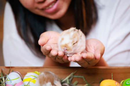 Asian woman holding tiny bunny in hand with tenderness and love. People take care a pet and decorate home for Easter. Happy Easter Happy holiday.の写真素材
