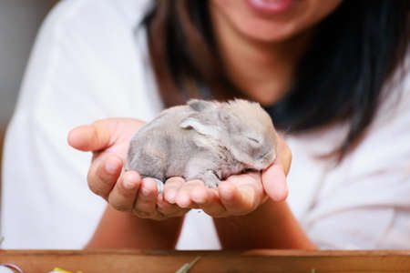 Asian woman holding tiny bunny in hand with tenderness and love. People take care a pet and decorate home for Easter. Happy Easter Happy holiday.の写真素材