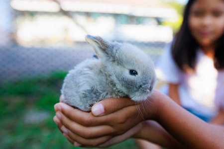 Asian child girl holding cute baby bunny on hand with love and tenderness. Kid and her pet playing together.の写真素材