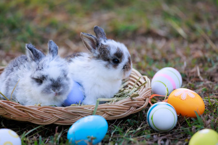 Lovely bunny fluffy baby rabbits with a basket full of colorful easter eggs in the garden. Easter Bunny on a egg hunt. Easter day symbol.の写真素材