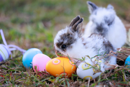 Lovely bunny fluffy baby rabbits with a basket full of colorful easter eggs in the garden. Easter Bunny on a egg hunt. Easter day symbol.の写真素材