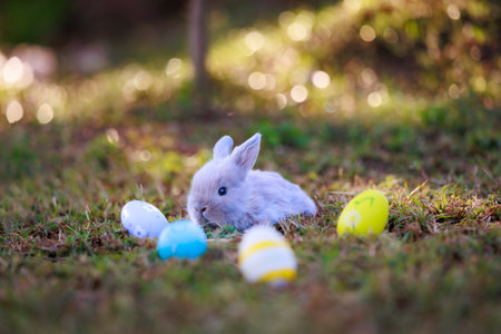 Lovely bunny fluffy baby rabbit with colorful easter eggs in the garden. Easter Bunny with eggs hunt. Symbol of Easter day.の写真素材