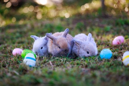 Group of lovely bunny fluffy baby rabbits with colorful easter eggs in the garden. Easter Bunny with eggs hunt. Symbol of Easter day.の写真素材
