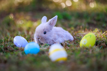 Lovely bunny fluffy baby rabbit with colorful easter eggs in the garden. Easter Bunny with eggs hunt. Symbol of Easter day.の写真素材