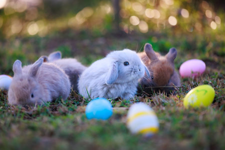 Group of lovely bunny fluffy baby rabbits with colorful easter eggs in the garden. Easter Bunny with eggs hunt. Symbol of Easter day.の写真素材