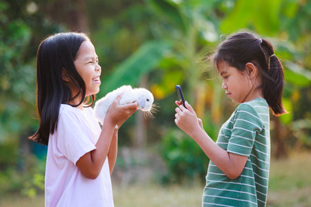 Asian child girl holding a adorable bunny Holland lop on hand and her friend using smartphone taking a picture. They playing with pet together with fun in the yard.の写真素材