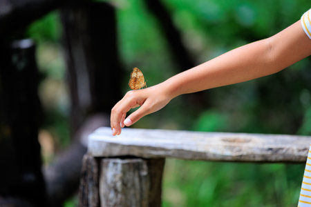Beautiful butterfly flapping wings on kid hand in the forest. Asian child girl excited to have butterfly on her hand. Slow motion shot.の写真素材