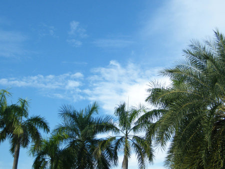 Viewsの写真素材