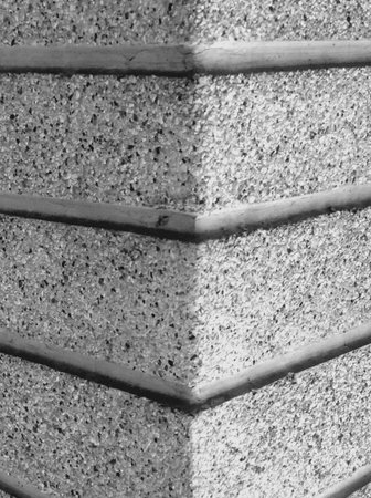 Back and White brick