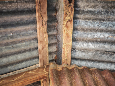 Decayed Wood.The wooden structure of the building is destroyed by termites.の写真素材